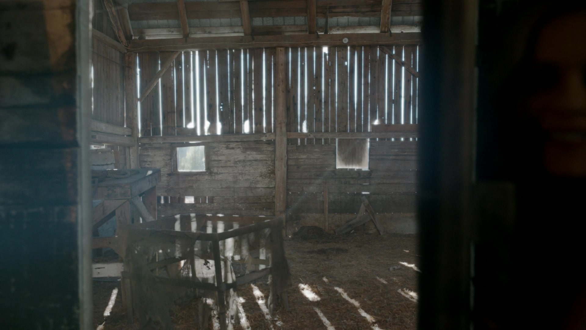 ghosts220_28124829.jpg
