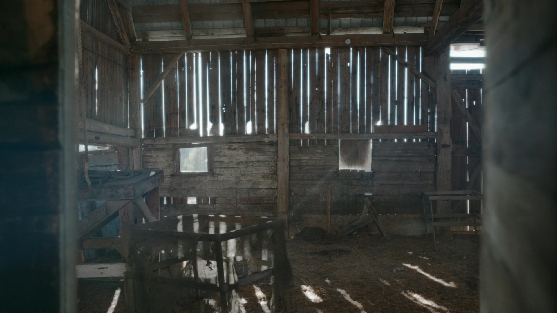 ghosts220_28124929.jpg