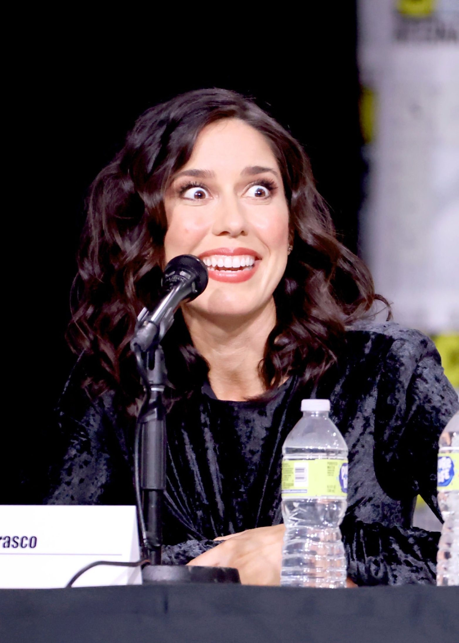 sdccpanel_28229.jpg