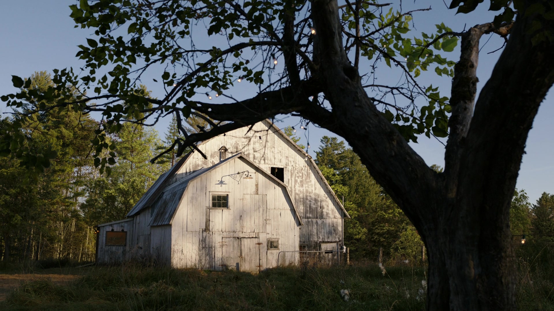 ghosts221_2866729.jpg