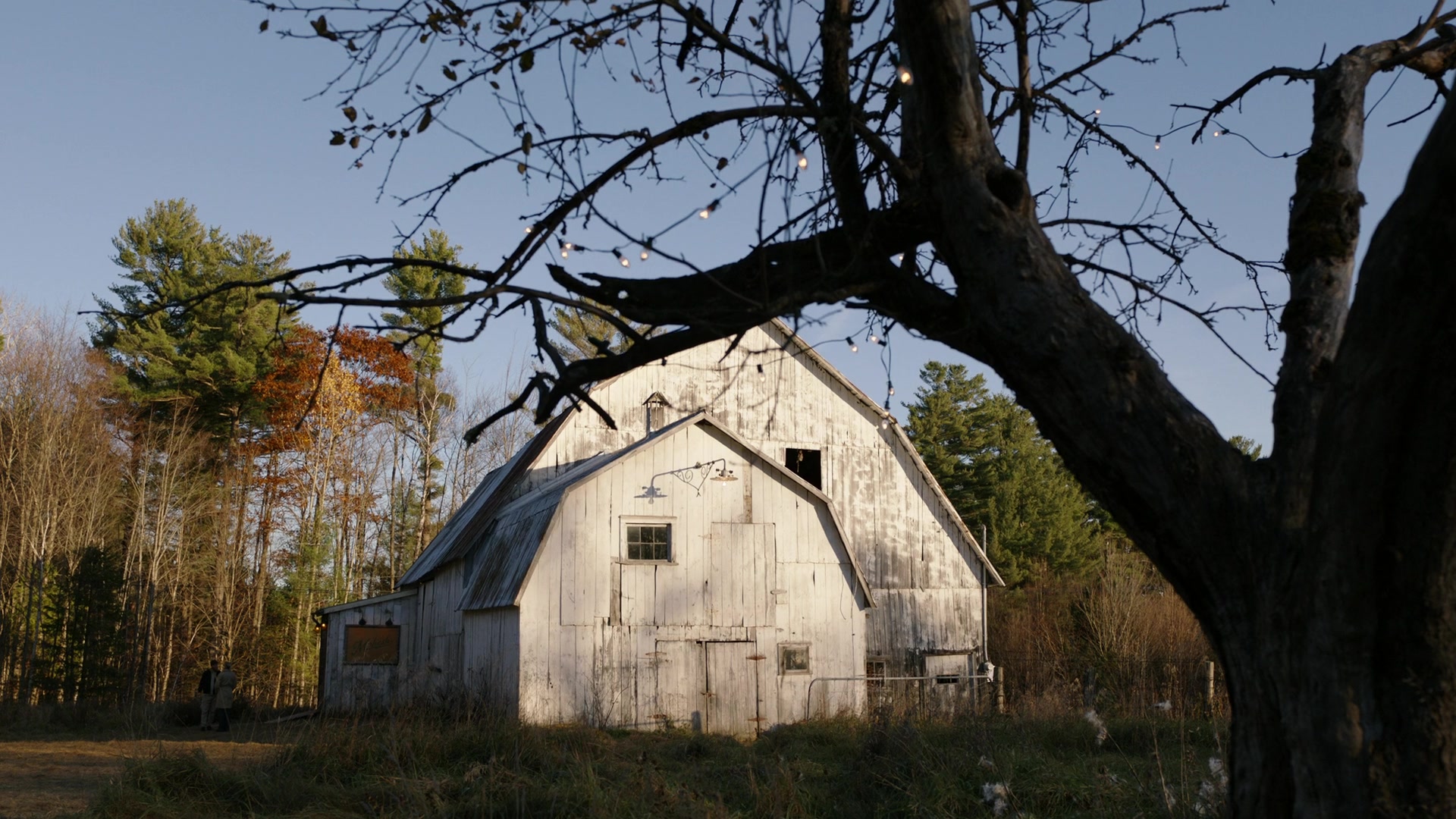 Ghosts_508_0346.jpg